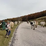 Vendégház Les Chantenees 3*