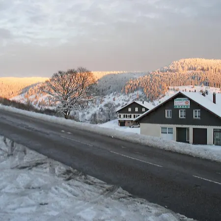 Les Chantenees Vendégház La Bresse