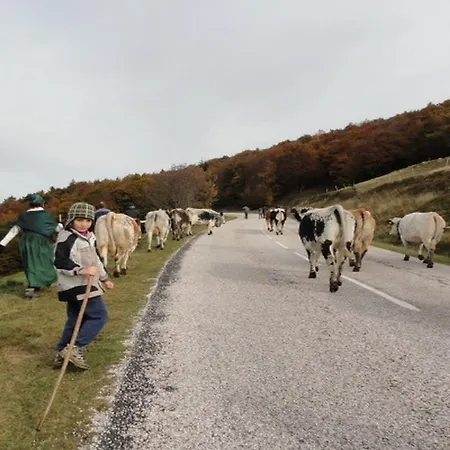 Gæstehus Les Chantenees 3*