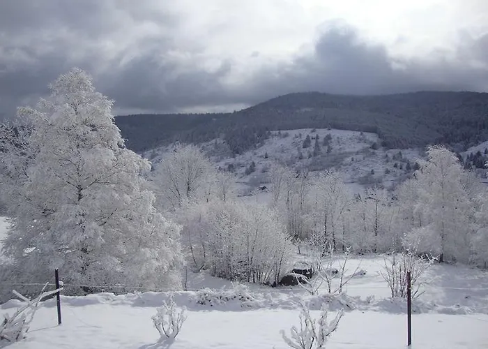 Maison d'hôtes Les Chantenées