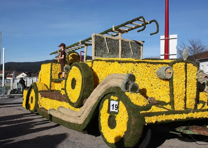 Les Chantenées 3* La Bresse