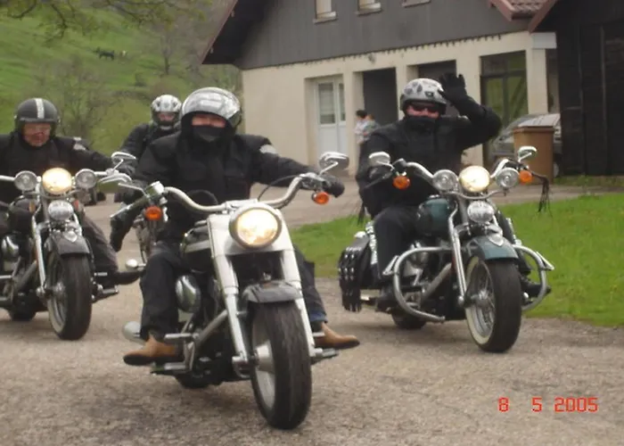 Les Chantenées 3* La Bresse