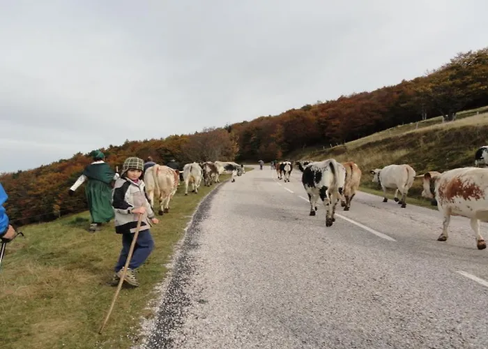 Maison d'hôtes Les Chantenées 3*
