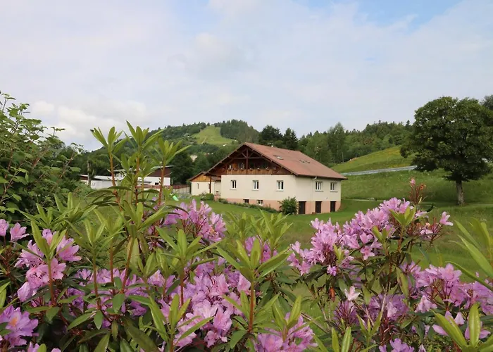 Maison d'hôtes Les Chantenées
